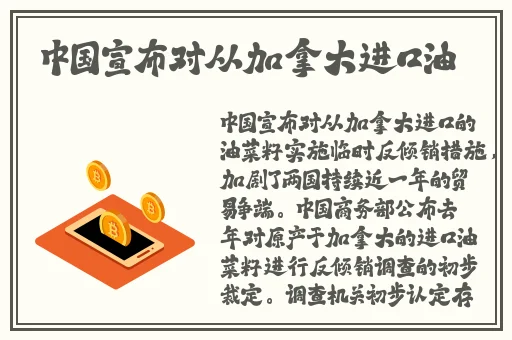 女员工的付出中字打工人的心酸